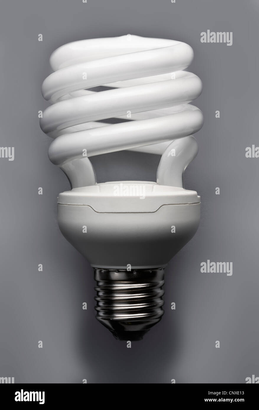 Eine Energie-effiziente Glühbirne Stockfoto