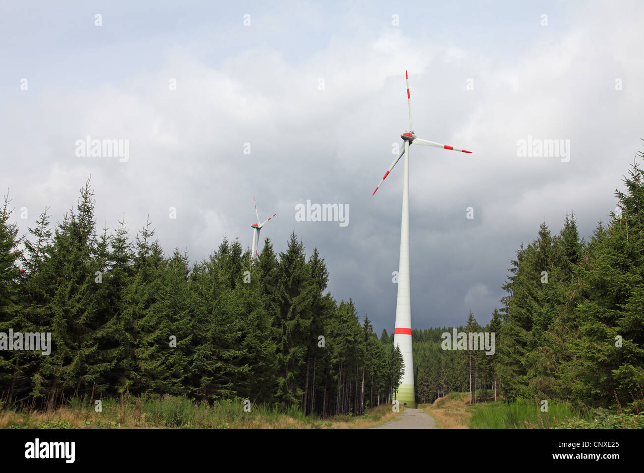 Windkraftanlage im Nadelwald, Deutschland, Nordrhein-Westfalen, Siegen Stockfoto