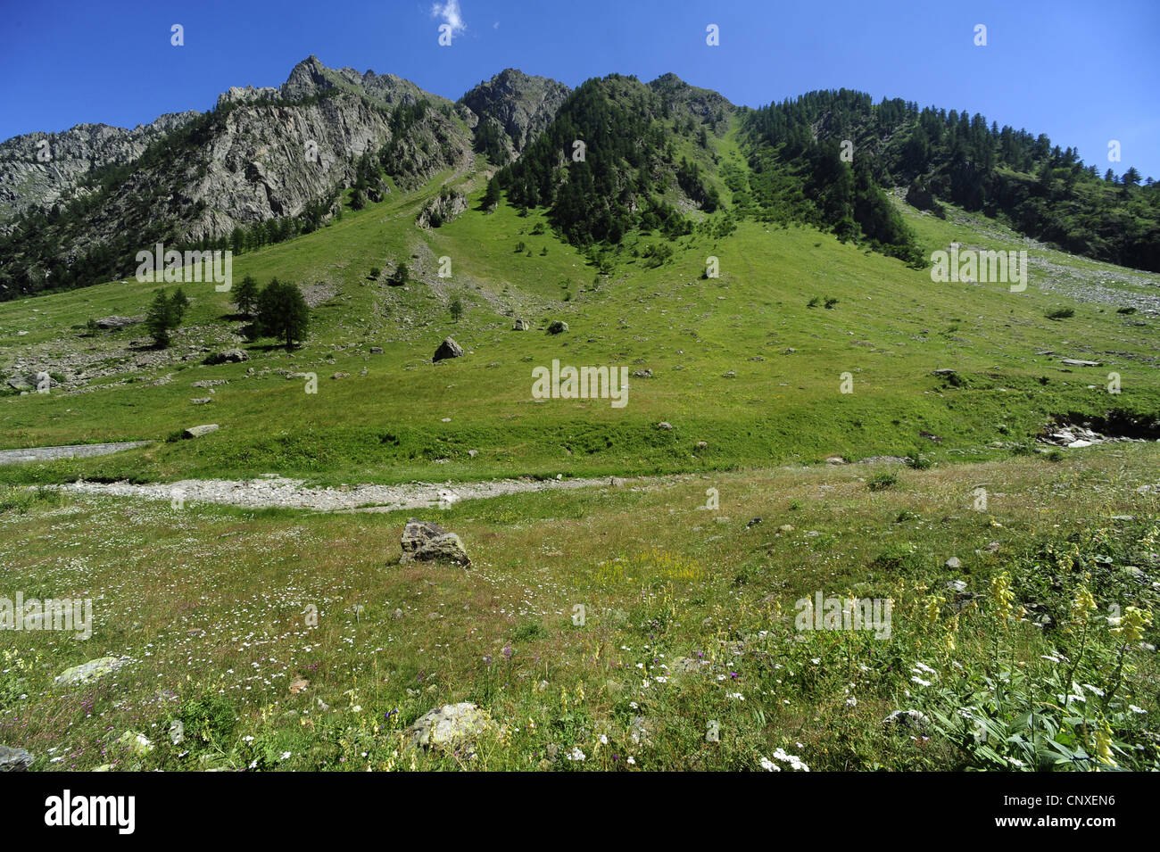 Alpenkulisse, Italien, Alpen Stockfoto
