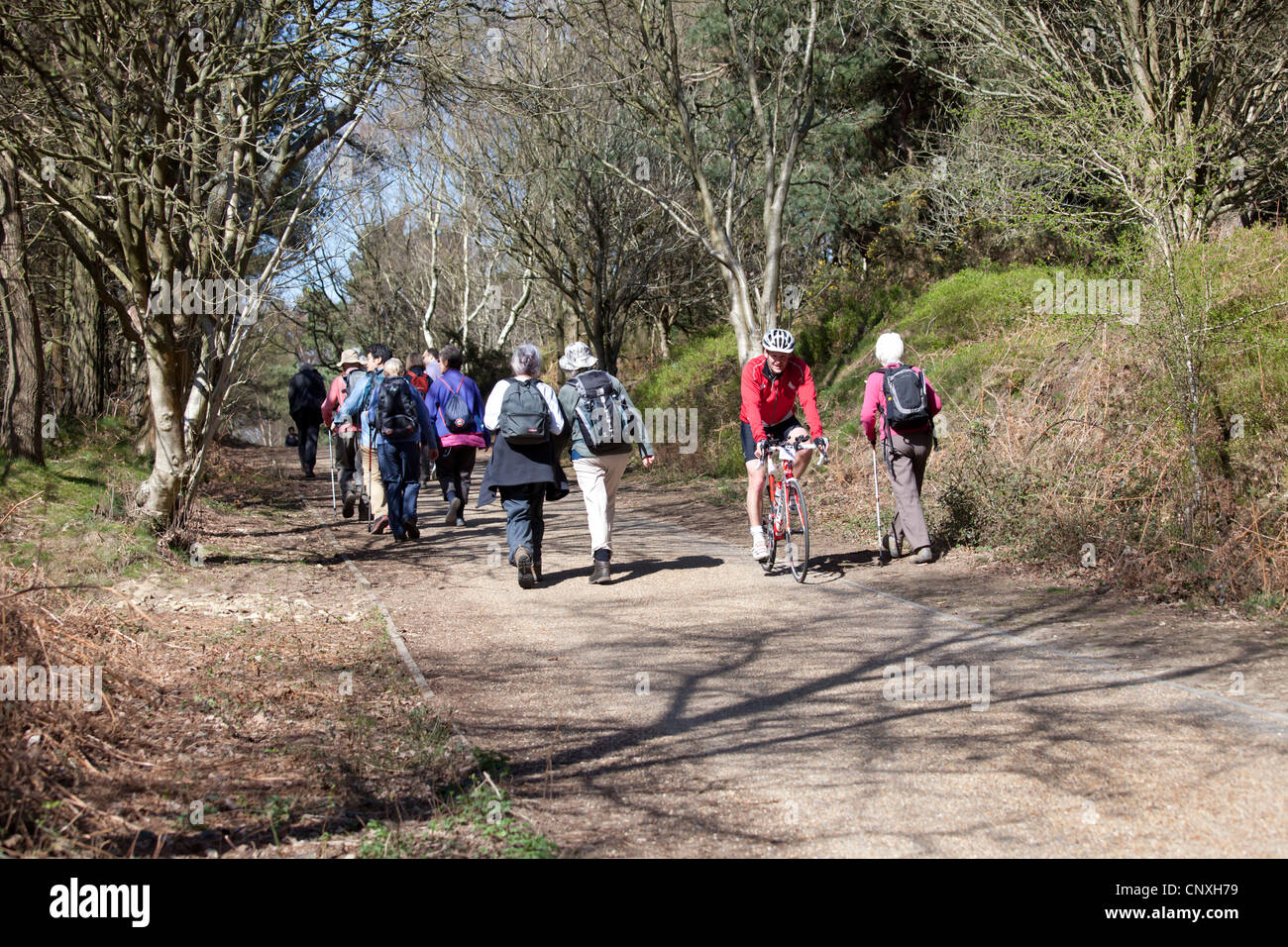 Ein Radfahrer fährt an einer Gruppe von Wanderern auf der Old Portsmouth Road um die Devil's Punchbowl, Hindhead, Surrey vorbei Stockfoto