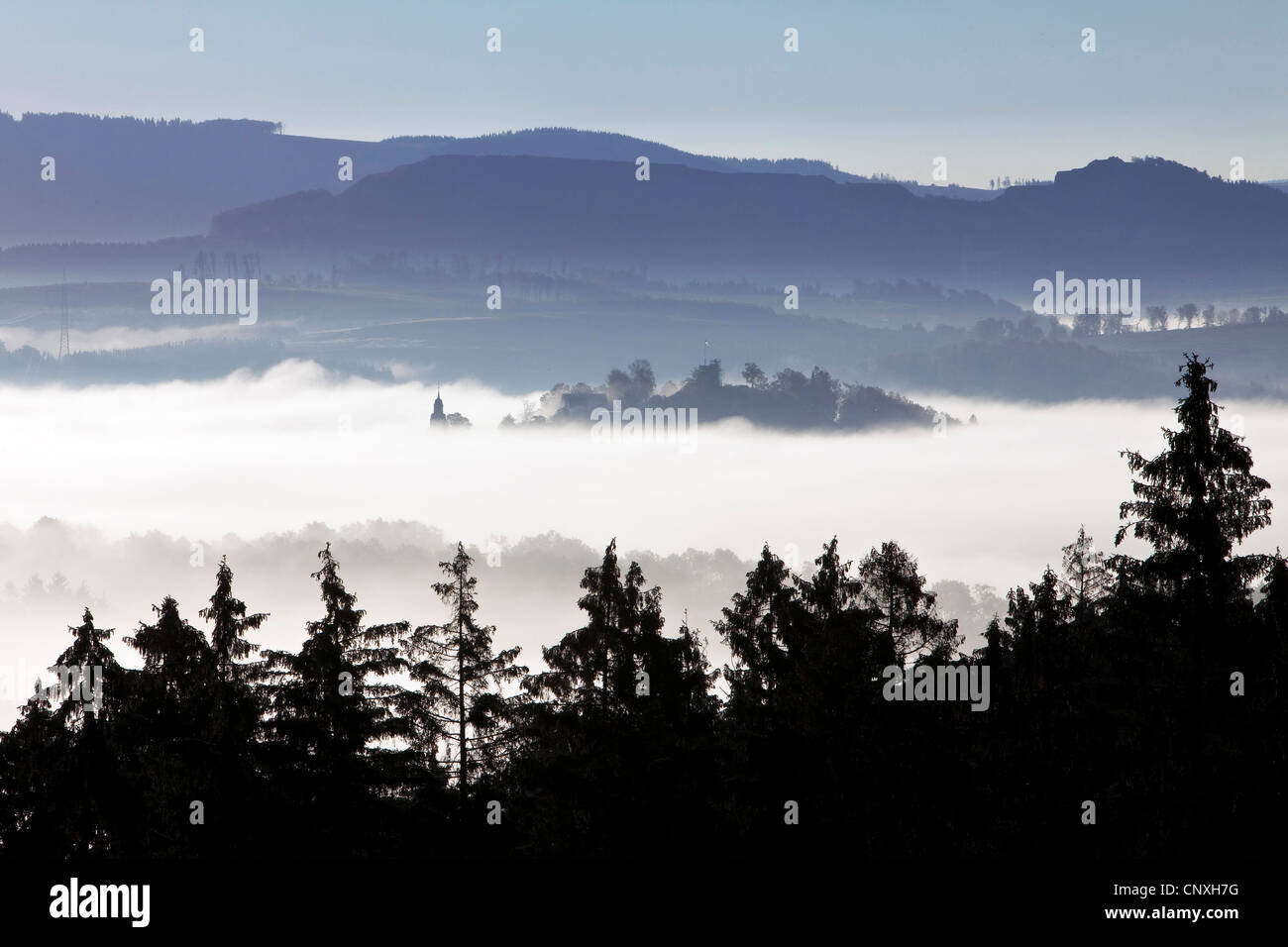 Morgennebel in den Tälern der Arnsberger Wald, Deutschland, Nordrhein-Westfalen, Sauerland, Meschede Stockfoto