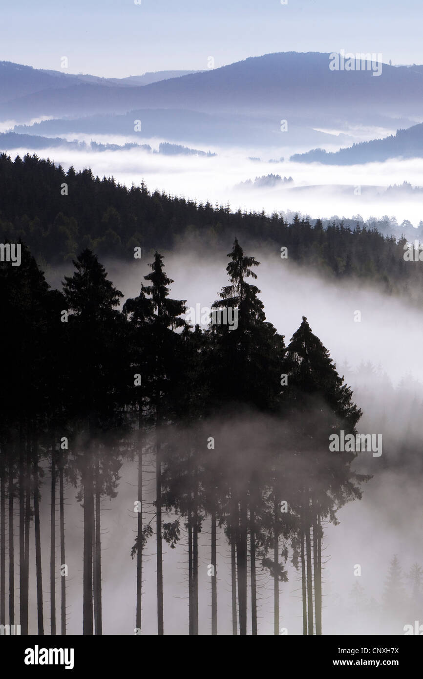 Morgennebel in den Tälern der Arnsberger Wald, Deutschland, Nordrhein-Westfalen, Sauerland, Meschede Stockfoto