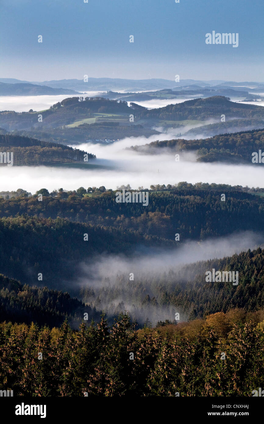 Blick vom Turm der Loermecke zum Naturpark Arnsberger Wald im Morgennebel, Warstein, Sauerland, Nordrhein-Westfalen, Deutschland Stockfoto