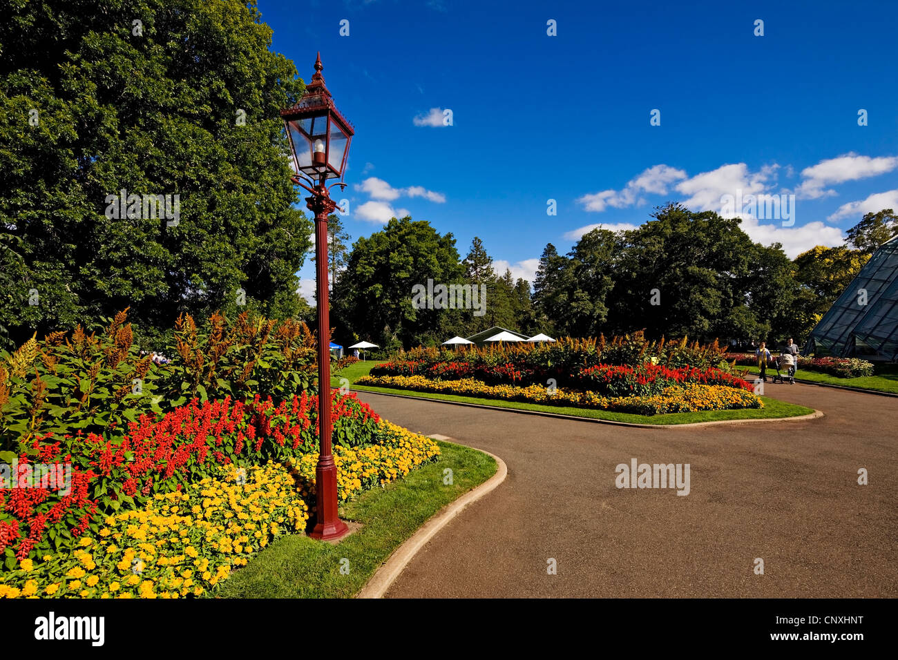 Ballarat Australien / The Ballarat Botanical Gardens in voller Blüte, Ballarat, Victoria Australien Stockfoto