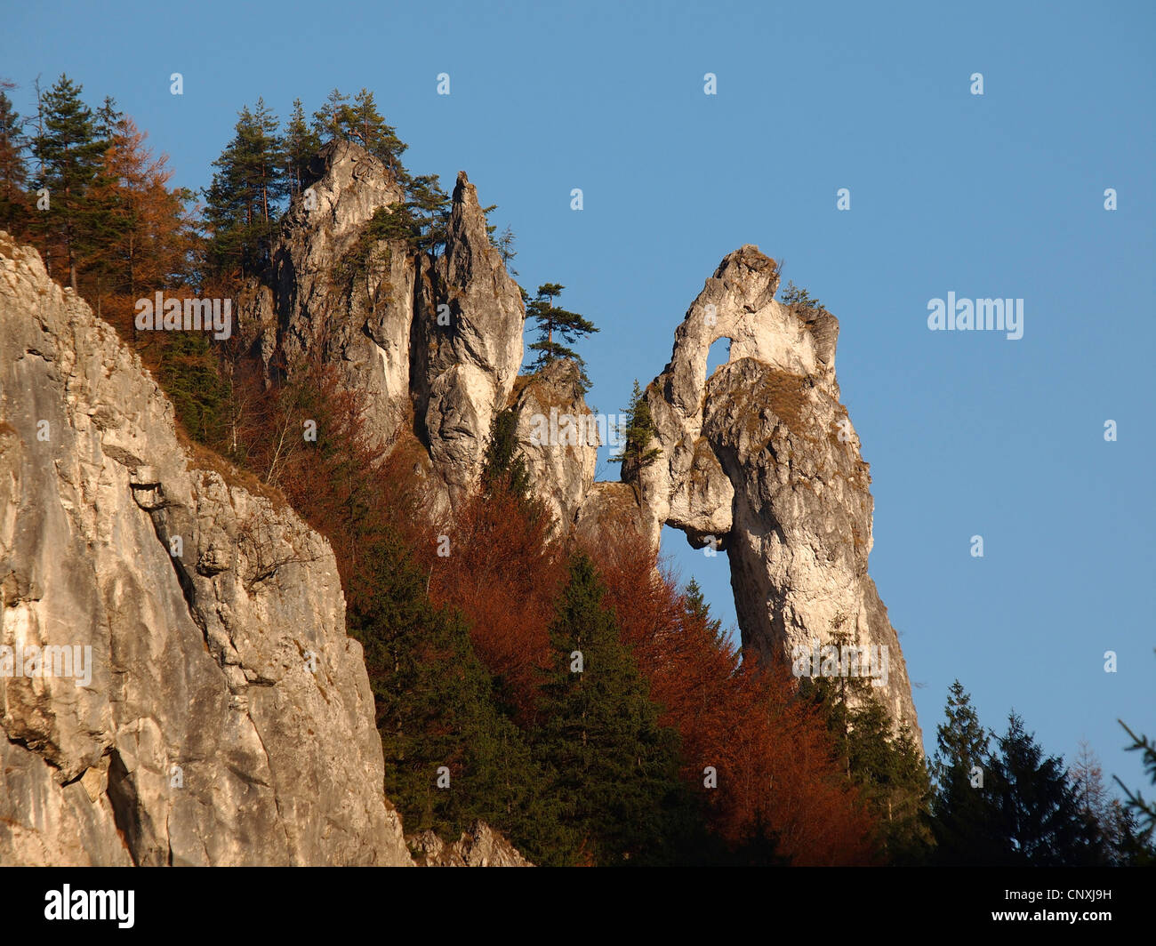 Felsformation im Mala Fatra Gebirge, Slowakei, Mala Fatra National Park Stockfoto