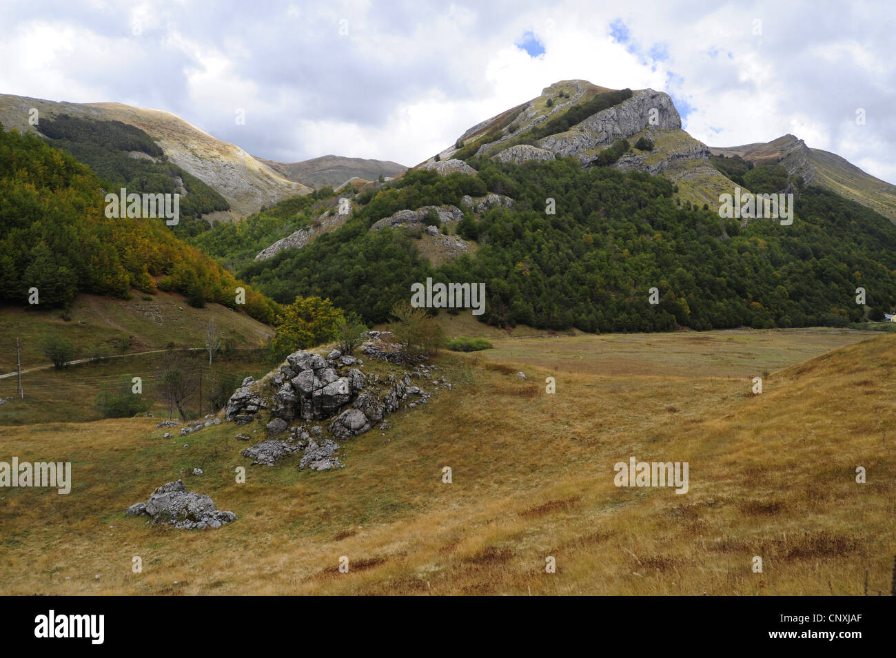 Berglandschaft mit Wiesen und Wäldern am Mount Bokumir, Montenegro, Prokletije Stockfoto