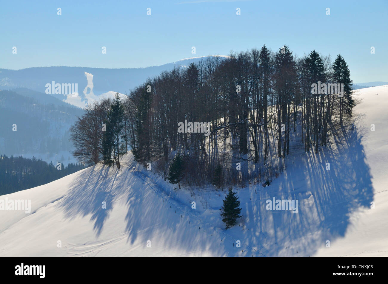 Winterlandschaft im Schwarzwald, Schwarzwald, Baden-Württemberg, Deutschland Stockfoto