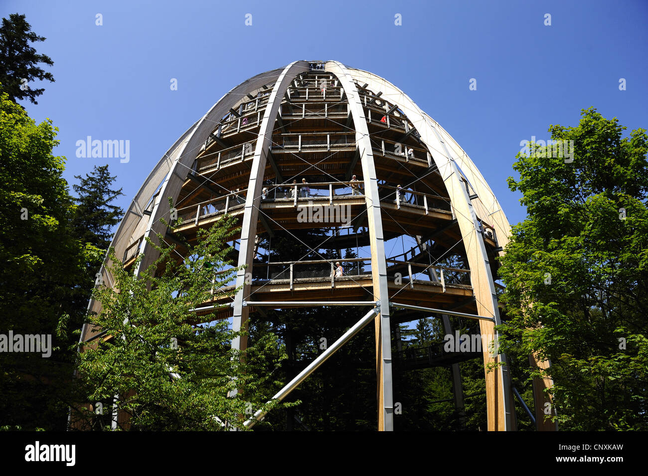 Aussichtsturm voll von Besuchern auf dem Waldlehrpfad Neuschoenau, Nationalpark Bayerischer Wald, Bayern, Deutschland Stockfoto