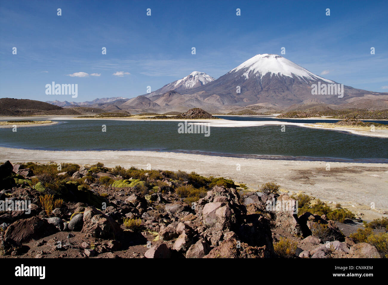 Cotacotani-See und Pomerape und Parinacota Vulkane, Chile, Anden, Lauca Nationalpark Stockfoto
