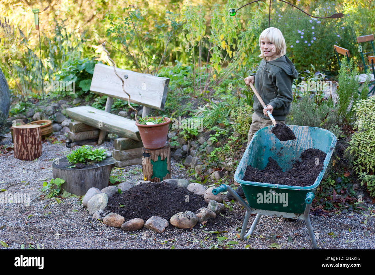 junge bauen eine Kräuterschnecke im Garten, Deutschland Stockfoto