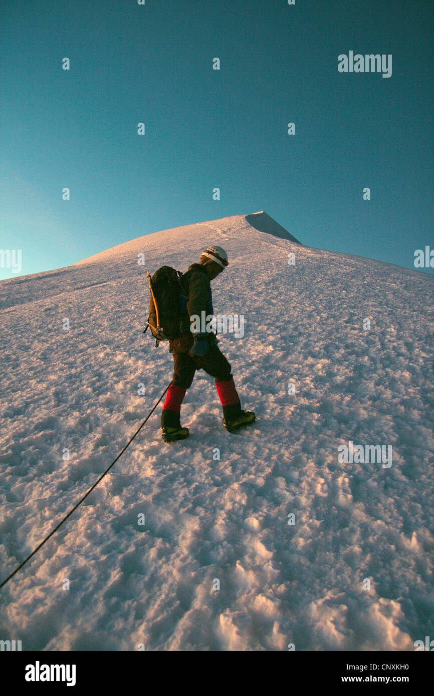Bergsteiger, Klettern auf den Illumani Gipfel, Bolivien, Anden Stockfoto