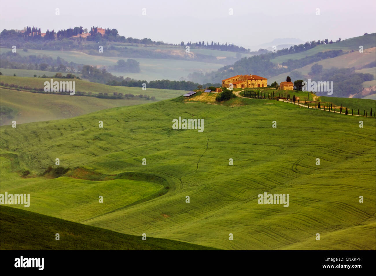 Ferienhäuser in hügeligem Gebiet Landschaft, Italien, Tuscany Stockfoto