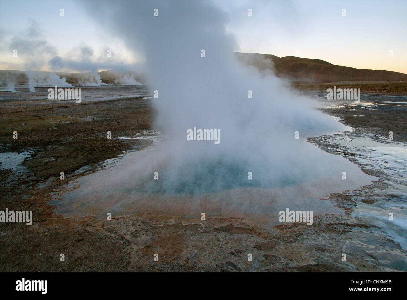 El Tatio Geysir, Chile Stockfoto