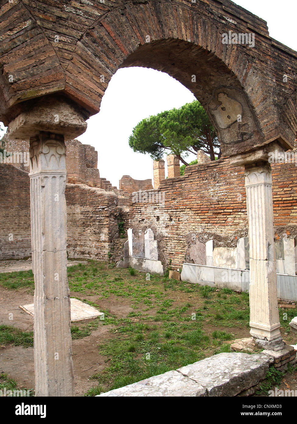 Die Kurie des Forum Romanum, Ostia Antica, Rom Stockfoto