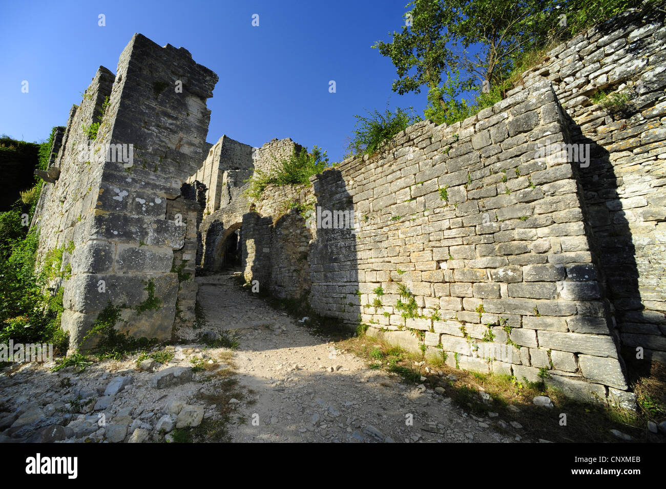 Burgruine von Dvigrad, Kroatien, Kanfanar, Dvigrad, Istrien Stockfoto