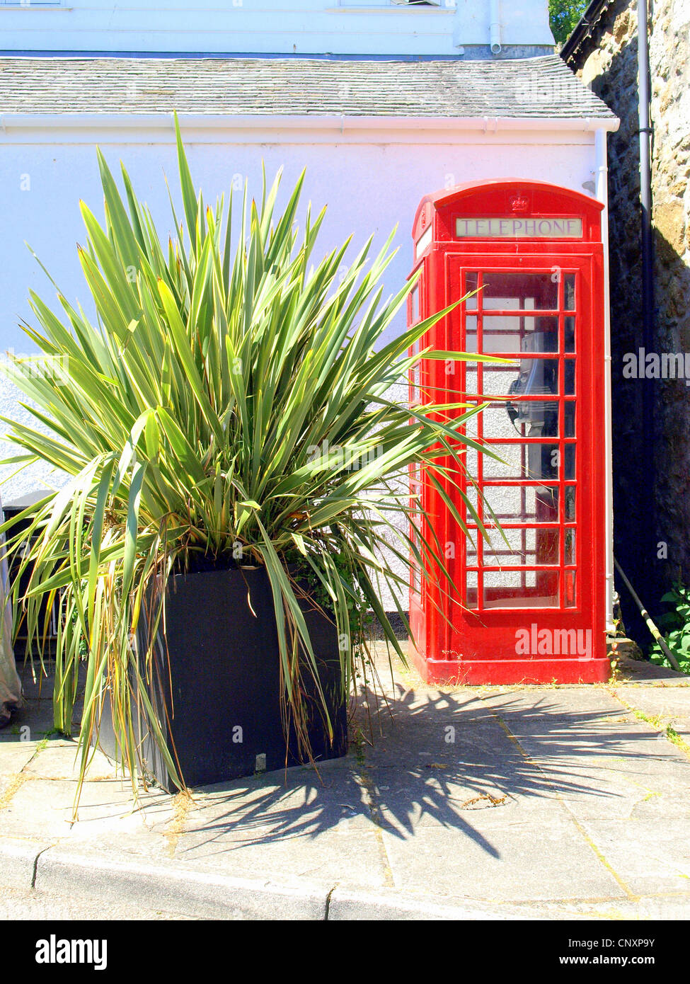 Grünpflanze und rote Telefonzelle. Stockfoto