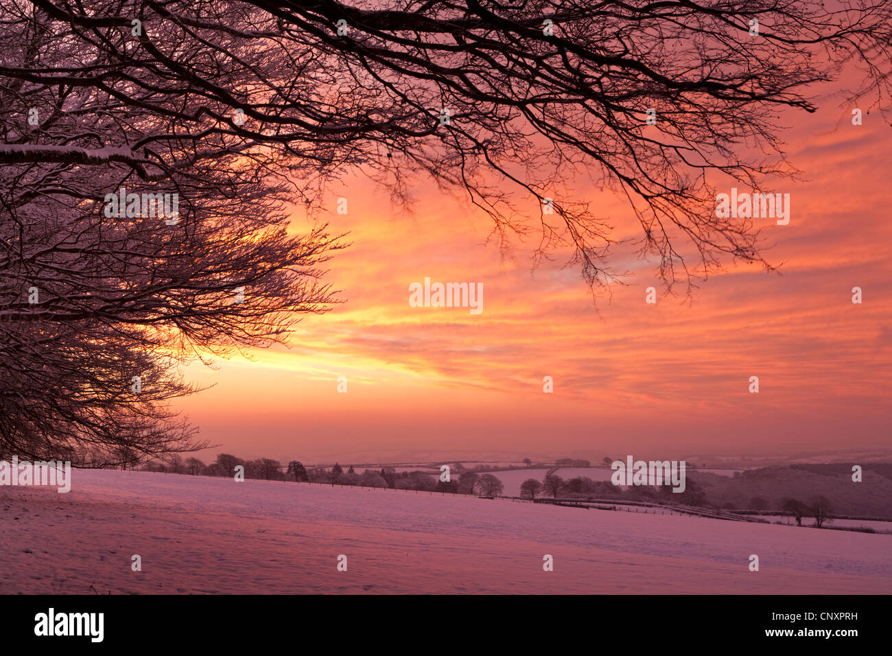 Spektakulären Sonnenaufgang Himmel über Schnee bedeckt Landschaft, Exmoor, Somerset, England. Winter (Januar) 2012. Stockfoto