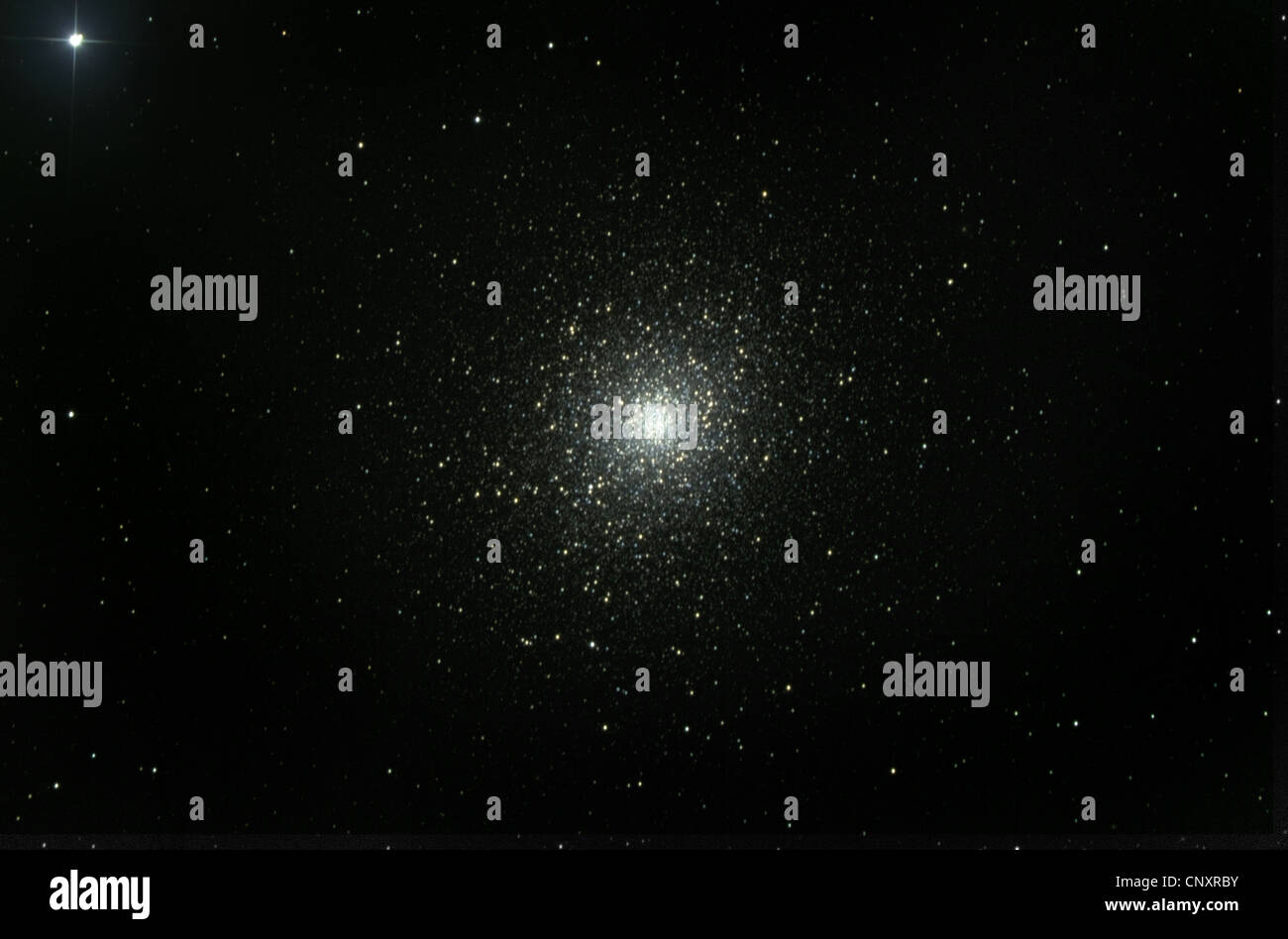Ein Startcluster im All, der durch ein automatisiertes Teleskop aufgenommen wurde Stockfoto