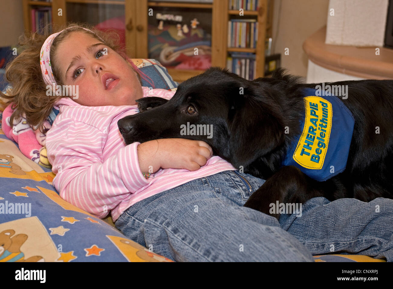 Mischling Hund (Canis Lupus F. Familiaris), Therapiehund lag auf dem Sofa mit einem behinderten Kind Stockfoto