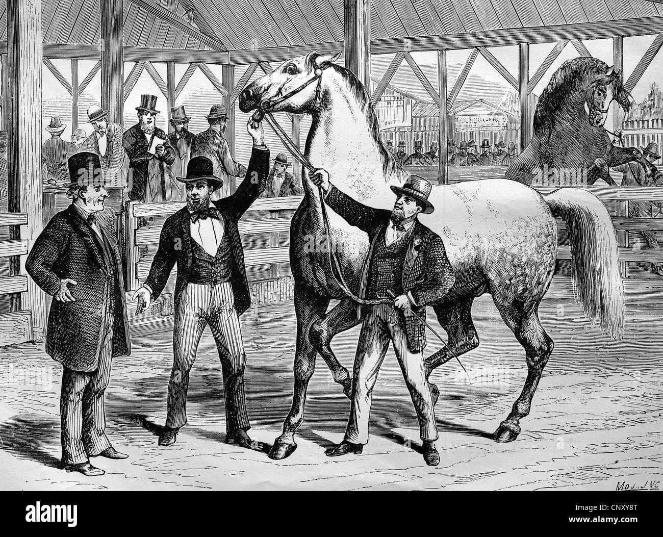 Pferdemarkt in Paris, Frankreich, historischen Holzstich ca. 1888 Stockfoto