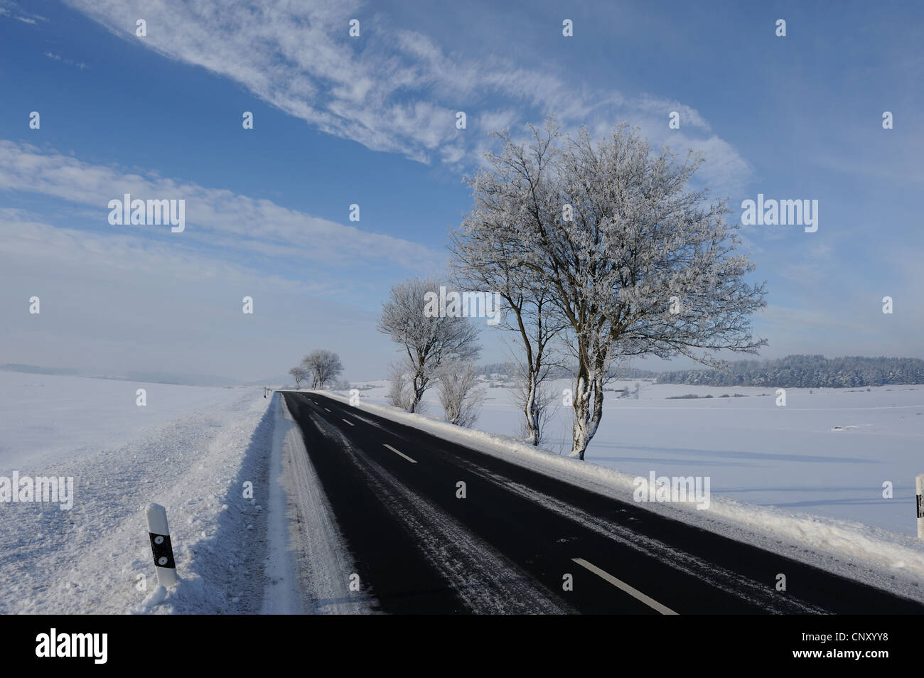 geräumte Straße durch einen verschneiten Feld Landschaft, Deutschland, Bayern, Oberpfalz Stockfoto