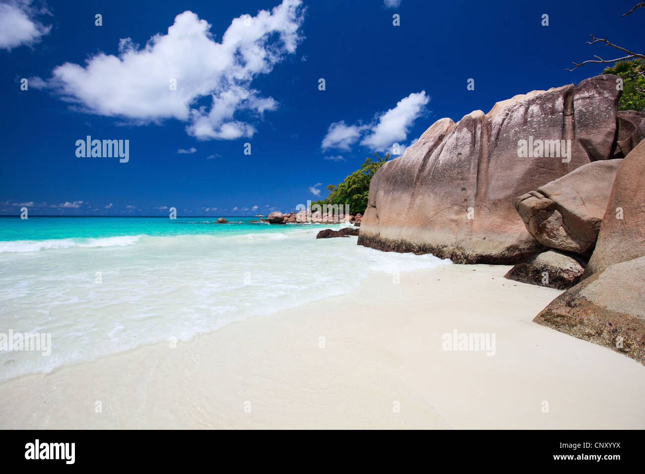tropischer Strand mit weißem Sand, Granitfelsen und türkisfarbenes Wasser, Seychellen Stockfoto