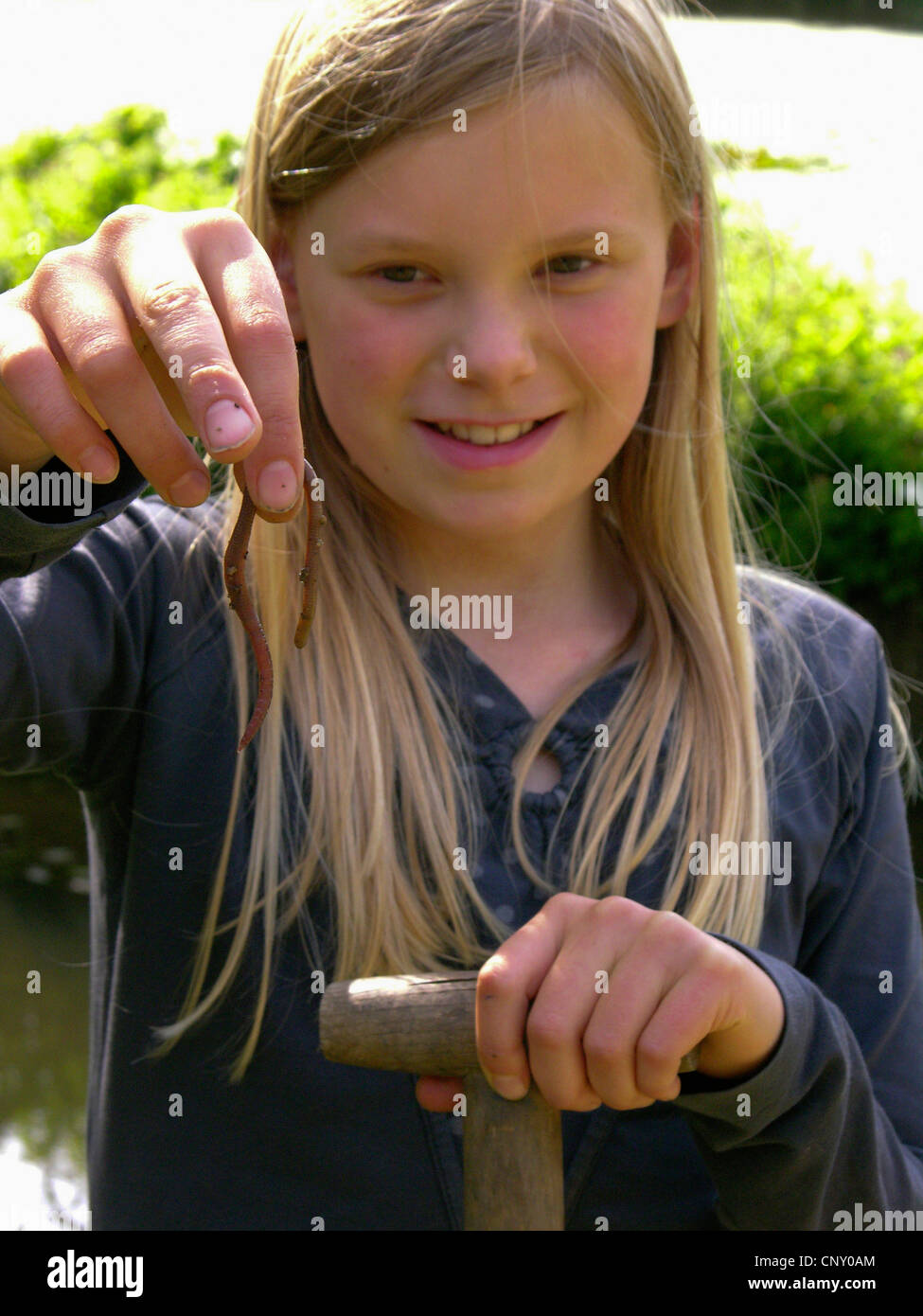 gemeinsamen Regenwurm, Regenwurm; BVG-Wurm, Tau Wurm (Lumbricus spec.), Mädchen mit einem Earthwom in der Hand, Deutschland Stockfoto