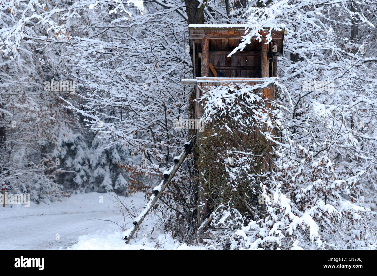 Hochsitz im Winter, Österreich, Steiermark Stockfoto