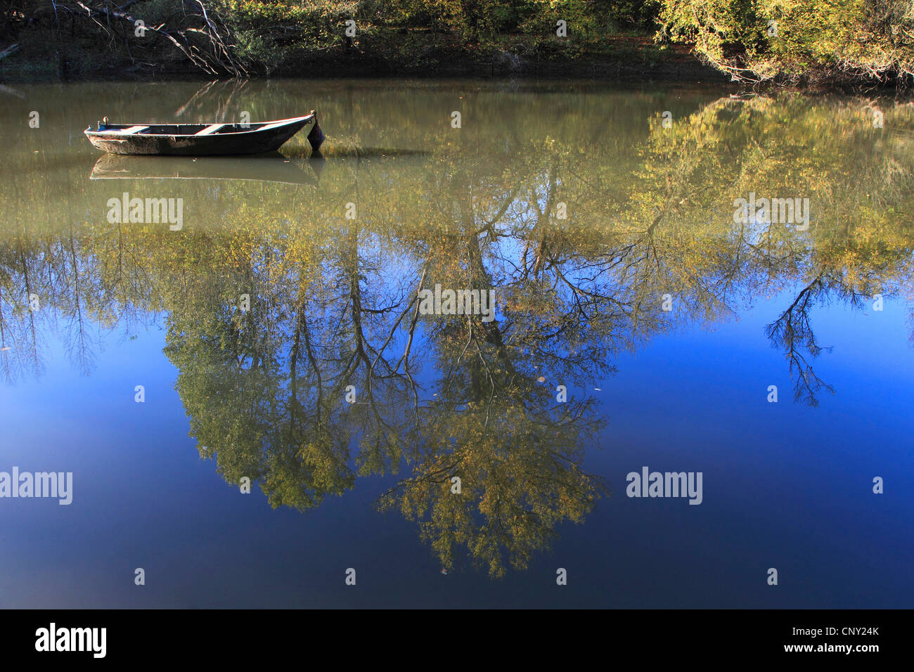 altes Boot auf Oxbow See am alten Rhein im Herbst, Deutschland Stockfoto