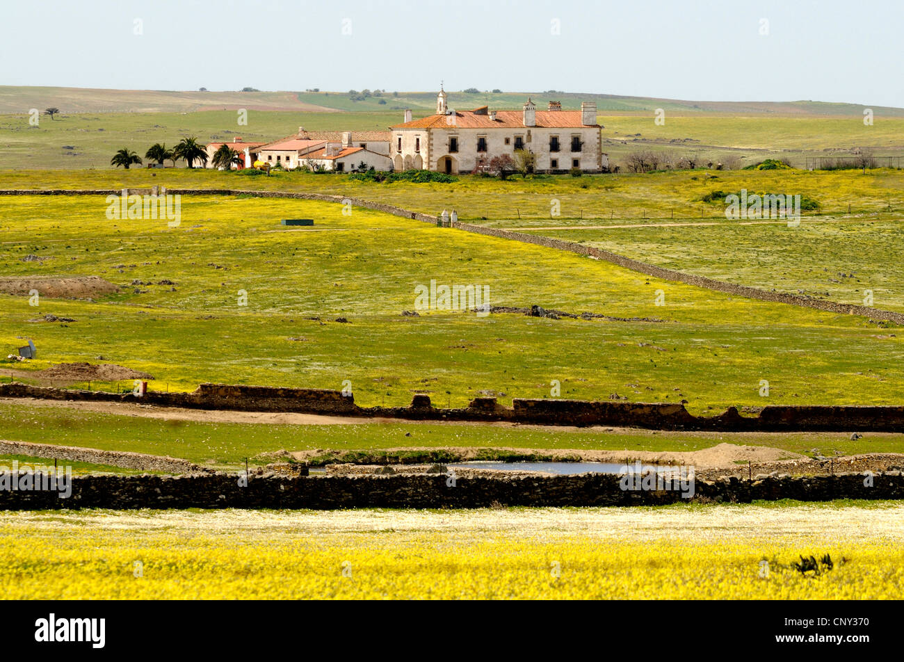 Finca in der Extremadura, Spanien, Extremadura Stockfoto