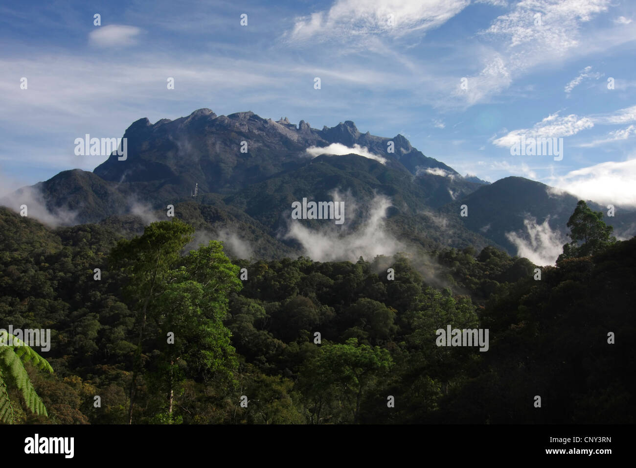 Mount Kinabalu, Malaysia, Sabah, Borneo, Mount Kinabalu National Park Stockfoto