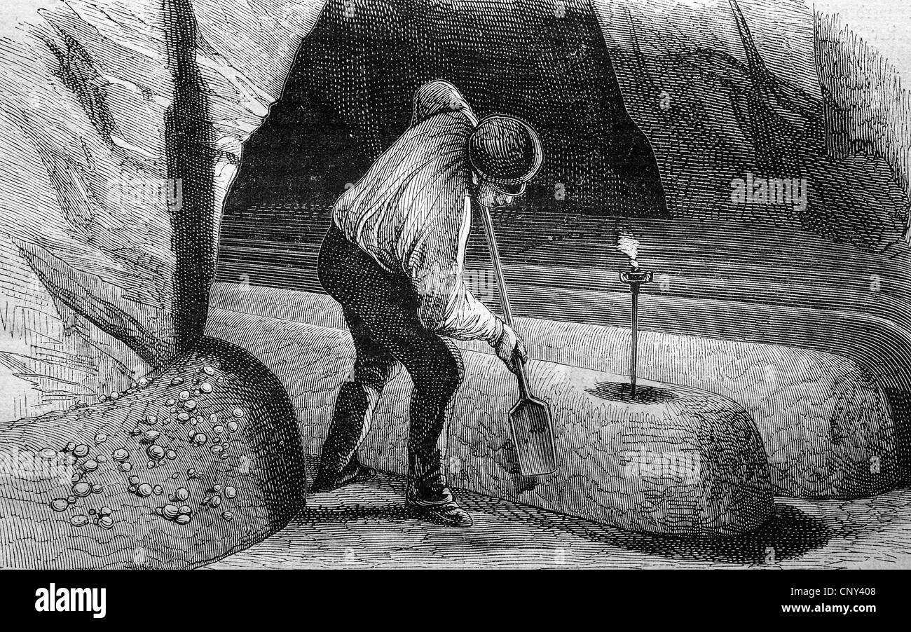 Champignonzucht, historische Holzstich ca. 1888 Stockfoto