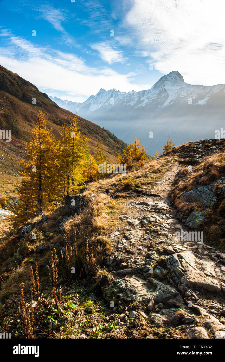 Bietschhorns Berggipfel im Herbst mit Wanderweg. Blick vom Laucheralp, Lötschental, Wallis, Schweiz Stockfoto