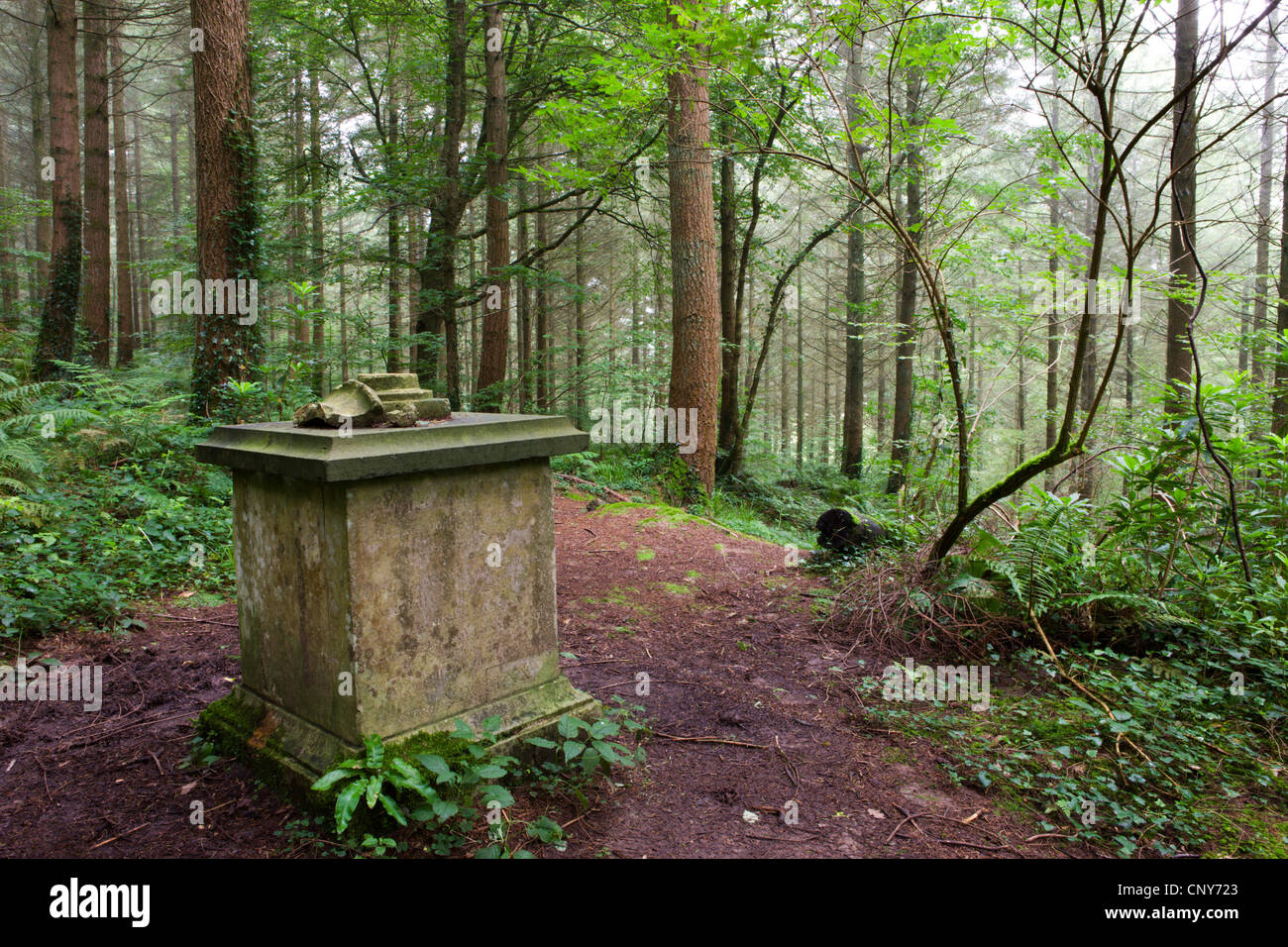Denkmal für Grundbesitzer Peter Comyns tief in Morchard Wood, Morchard Bischof, Devon, England Stockfoto