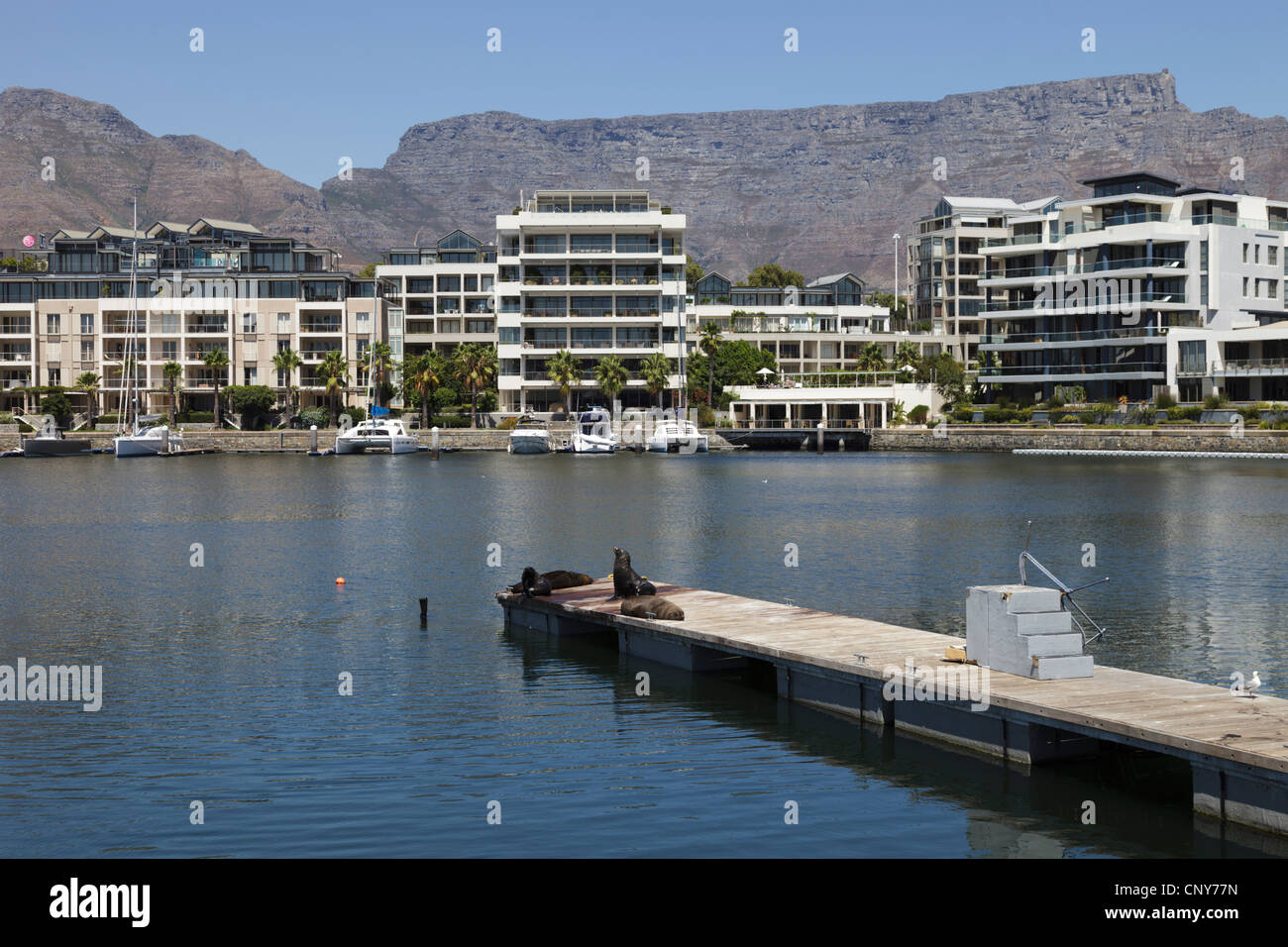 Cape Town Harbour, South Africa Stockfoto