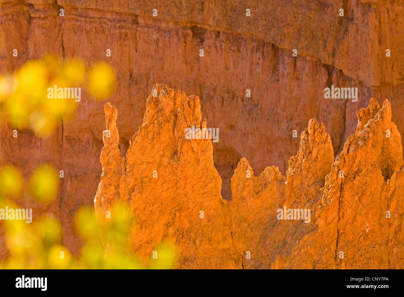 Orange Erosionen Formationen im Bryce Canyon in den Morgen, USA, Utah, Bryce-Canyon-Nationalpark Stockfoto