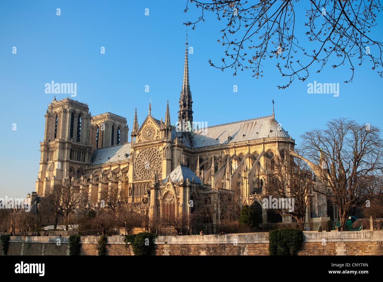 Notre Dame aus dem Quai De La tournelle Stockfoto