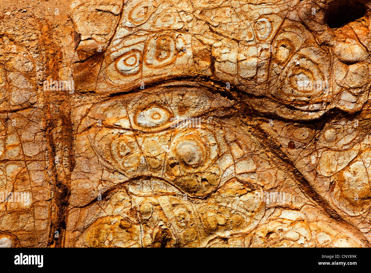 auffällige Strukturen in einer Sandsteinwand, Victoria, Australien, Phillip Island, Cape Woolamai Stockfoto