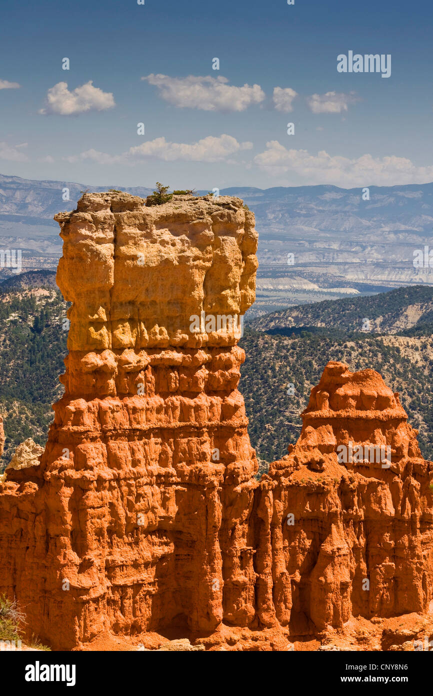 seltsam geformte Felsformationen an Agua Canyon, USA, Utah, Bryce-Canyon-Nationalpark, Colorado-Plateau Stockfoto