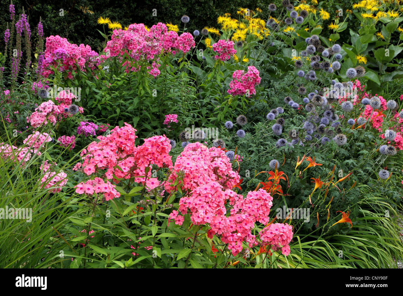 Garten mit Blumen in Summerr, Deutschland Stockfoto