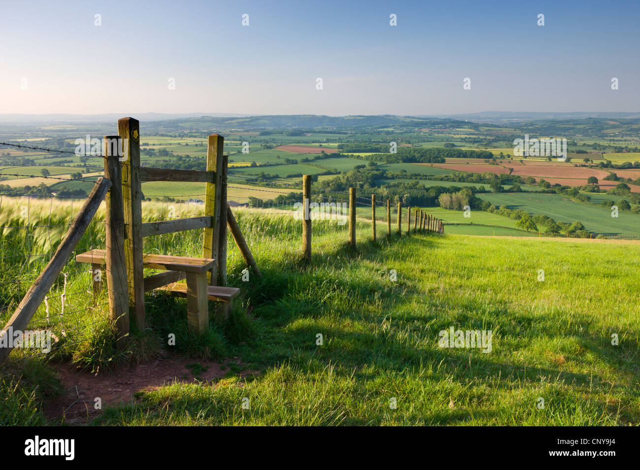 Wanderweg und Stil durch Felder, Raddon Hill, Mid Devon, England. Sommer (Juli) 2009 Stockfoto