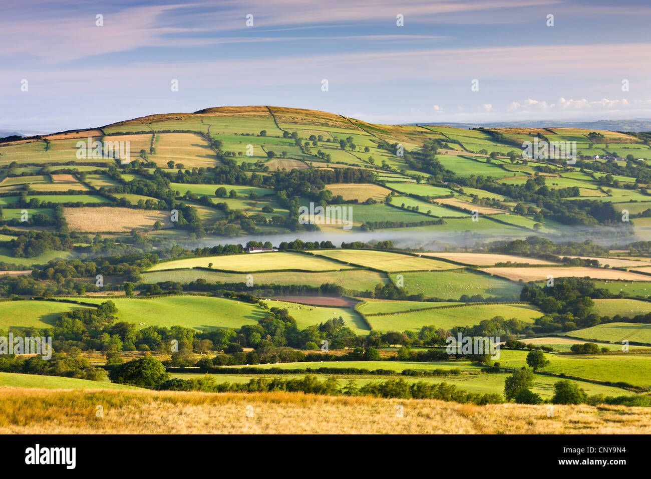 Patchwork-Felder und hügeligen Landschaft, Brecon Beacons National Park, Carmarthenshire, Wales, UK. (August) im Sommer 2009 Stockfoto