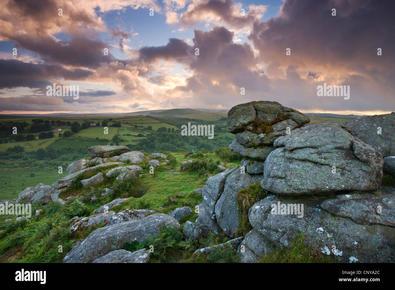 Holwell Tor an einem stürmischen Sommerabend, Dartmoor National Park, Devon, England. Sommer (Juli) 2010. Stockfoto