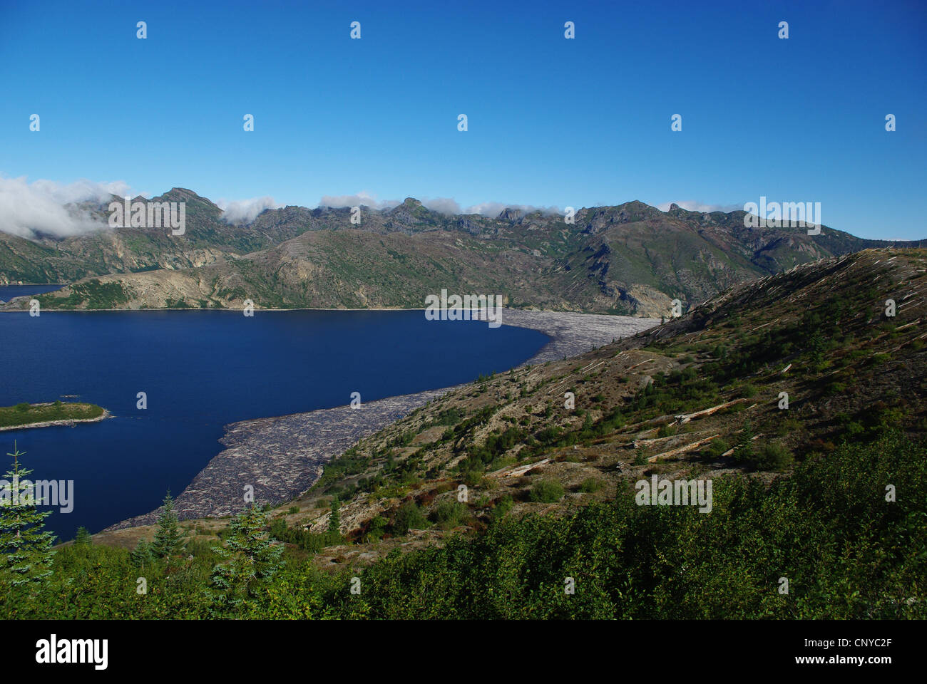 Blue Spirit Lake, Washington Stockfoto