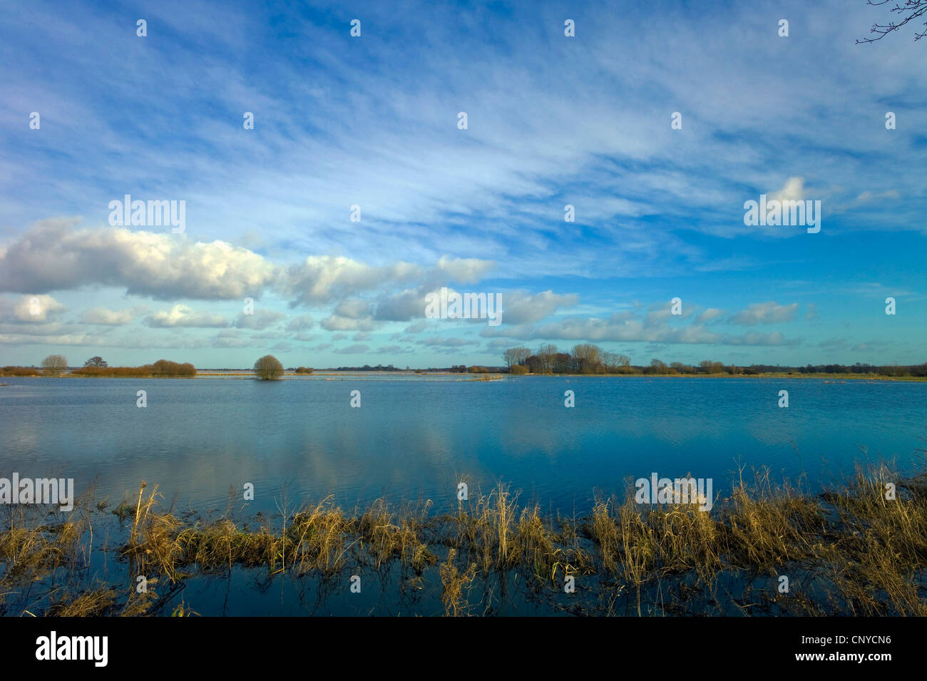 überschwemmten Wiesen des Flusses Hamme, Blick nach Worpswede und Weyerberg, Deutschland, Niedersachsen, Osterholz Stockfoto