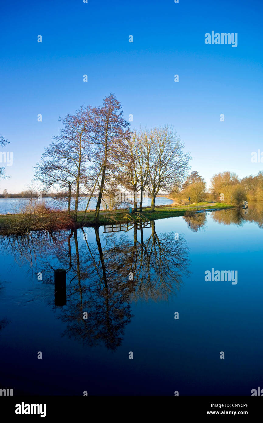 überschwemmten Wiesen in der Nähe von Hamme Fluss, Worpswede, Osterholz, Niedersachsen, Deutschland Stockfoto