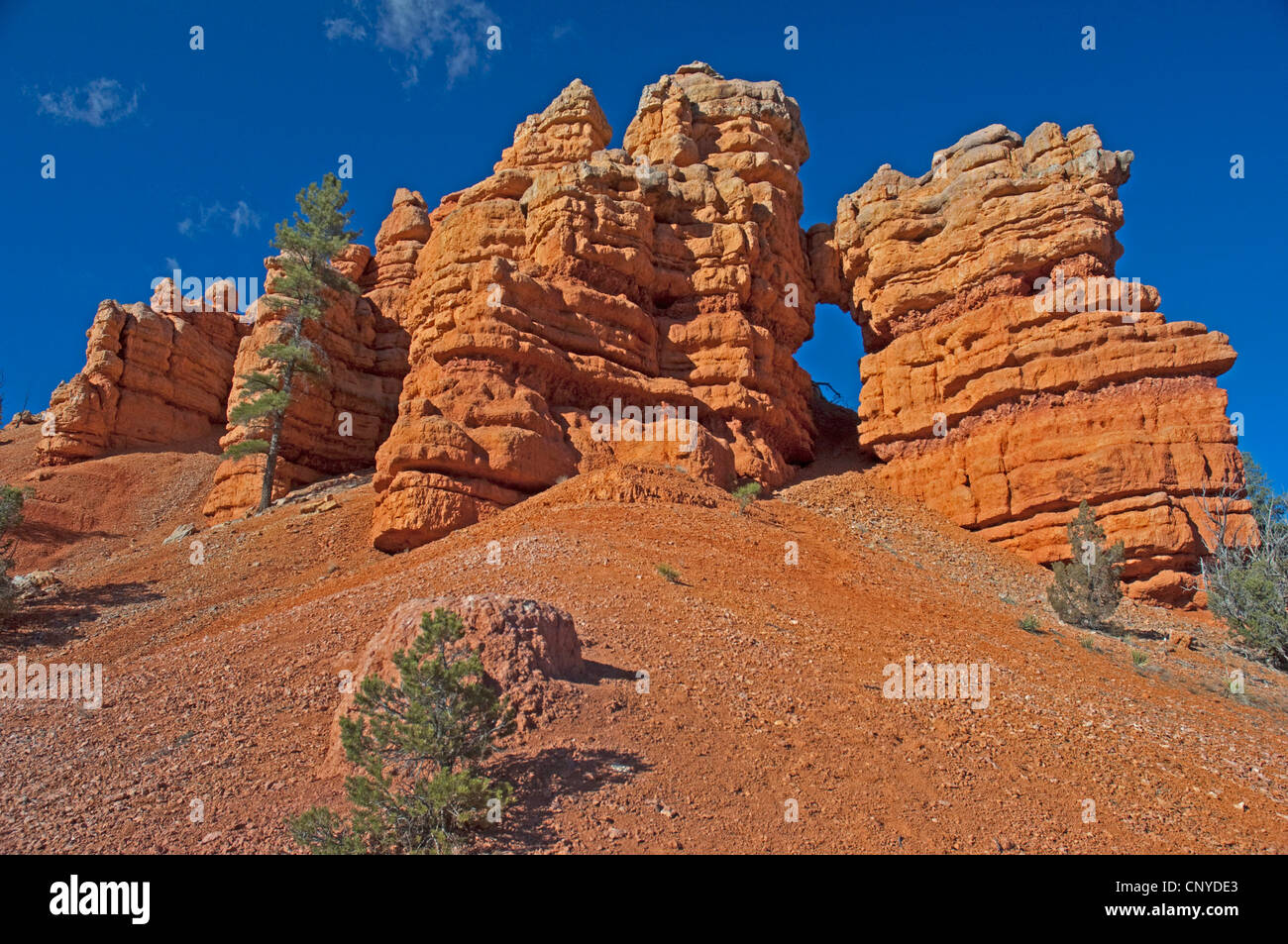 roten Felsformation in Red Canyon, USA, Utah, Red Canyon Stockfoto