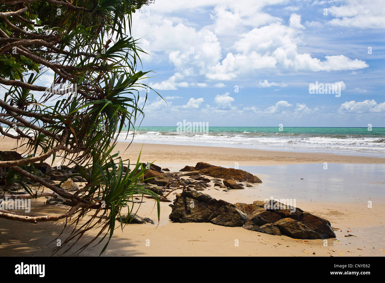 Noah Beach, Australien, Queensland, Daintree Nationalpark Stockfoto
