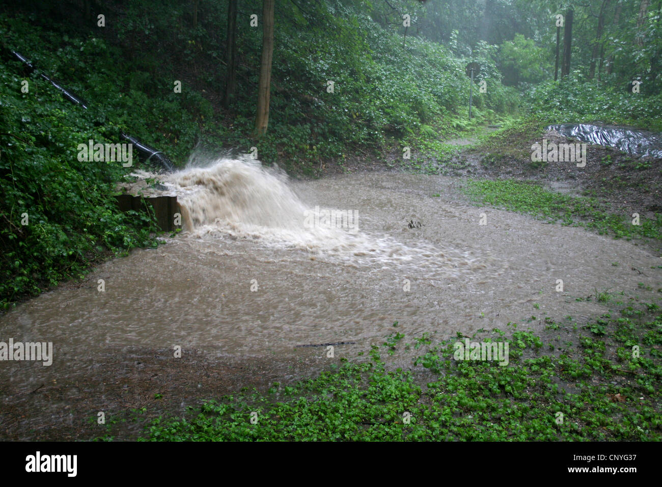 Masse des Wassers Überschwemmungen ein Regenwasser-Rückhaltebecken, Deutschland, Nordrhein-Westfalen Stockfoto