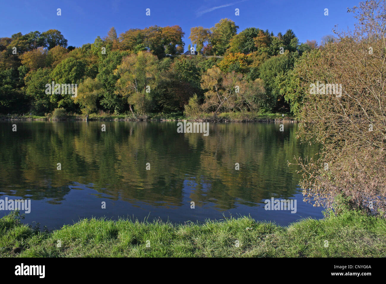 Ruhr-Fluss im Herbst in Bochum-Dahlhausen, Deutschland, Nordrhein Westfalen, Ruhrgebiet, Bochum Stockfoto